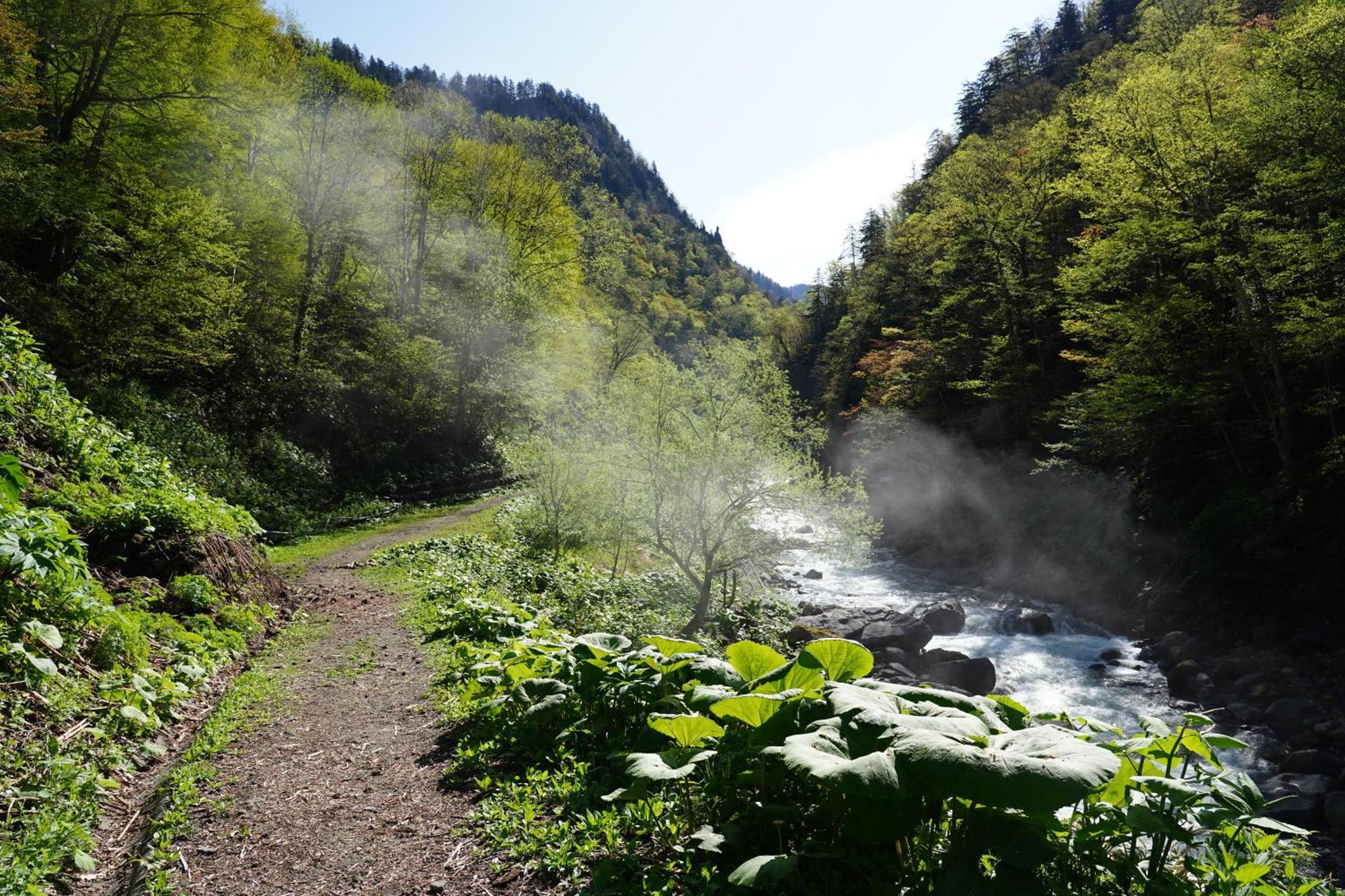 Shikishimaso Otel Higashikawa Dış mekan fotoğraf